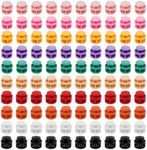 100 Pcs Assorted Color Plastic Double Hole Spring Cord Lock End Stopper Fastener Slider Toggles Clip for Parachute Buckle, Colorful