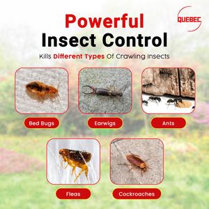 Quebec Ant Killer Powder 500g – Crawling Insect Dust for Indoor & Outdoor