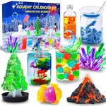 DIYDEC Advent Calendar 2024 Science Kits, Christmas Experiments Science Kits Countdown Calendar Xmas Collection Gemstone Magic Science Toys Party Favor Surprise Calendar for Boys Girls