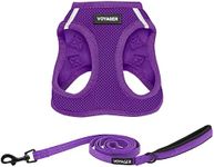 Voyager Step-in Air Cat Harness - All Weather Mesh Step in Vest Harness for Small and Medium Cats by Best Pet Supplies - Harness Leash Set (Purple), XXS