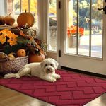 hicorfe Indoor Doormat,Front Back Door Mat Rubber Backing Non Slip Door Mats 32"x48" Low-Profile Absorbent Resist Dirt Entrance Doormat Inside Floor Mats for Entryway Wash(Red)