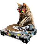 Suck UK Cat Scratcher DJ Decks Card