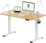 FLEXISPOT EN1 One Piece Standing De
