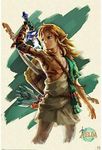 Pyramid International The Legend of Zelda Tears of the Kingdom Poster Link