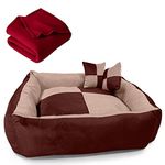 Little Dog Beds