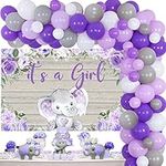 Purple Elephant Baby Shower Decorat