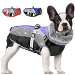 SlowTon Winter Dog Coats for Small Dogs, Dog Winter Jacket with Harness Built in Warm Thick Waterproof Windproof, Adjustable Reflective Small Dog Coat for Rain Snow Cold Weather (Black Purple,M)