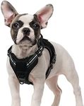 rabbitgoo Dog Harness Small Dog No Pull, Tactical Adjustable Puppy Harness with Molle Panel, Breathable Military Vest Harnesses, Reflective Dogs Vest Easy Control Handle for Walking Training, S, Black