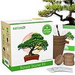 Natureit Bonsai Tree Starter Kit - 