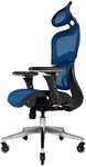 Nouhaus Ergo3D Ergonomic Office Chair Lumbar Support Mesh Office Chair with 4D Adjustable Armrest, Adjustable Headrest and Wheels, Mesh High Back Home Office Desk Chairs(Blue)