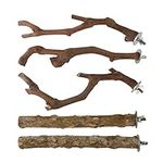 5 Pcs Bird Perch Stand Natural Wood