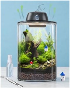 Plant Terrarium Kit with Rechargeable Grow Light 8", Gift for Mom (L)