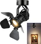 TISLYCO Industrial Vintage Ceiling Spotlight Lamp, Adjustable Black Wall Lamp/Ceiling Light Barn Door Design Spot Lights Indoor Lighting for Hallway Art Light Stage Spotlight Living Room Theatre