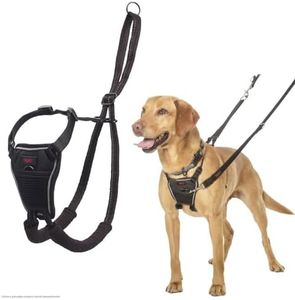 Pettorina anti-trazione HALTI - Per impedire al cane di tirare il guinzaglio, regolabile e semplice da utilizzare. Pettorina da addestramento catarifrangente per cani di taglia media (Taglia M)