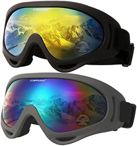 Ski Goggle