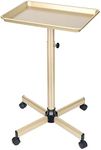 Salon Tray, Champagne Gold Salon Tray, Salon Tray Cart with Adjustable Height, Salon Tray on Wheels, Ideal Use As Tattoo Tray&Deantal Tray, No-Rusting