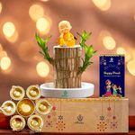 Amulya Farms Diwali Hamper Gift Set Combo of 4 | Lucky Brazil Wood Potted Plant with Pot, Buddha Miniature, Diya Shape Flower Decorative Urli Bowl, and Greeting Card | Diwali Decor |