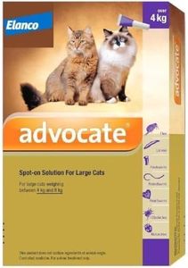 Advocate S