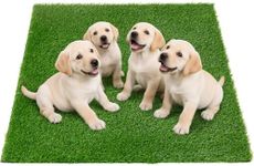 Oiyeefo Fake Grass Pee for Dog Large Artificial Grass Rug Pad for Puppy Potty Washable Grass Mat for Pet Training with Drainage Hole and Easy to Clean (59.1 x39.4Inches)