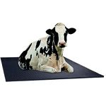 Anaya Retailers Cow Mat, Feeding Mat, Bpa Free, Easy Clean, Dishwasher Safe, Waterproof, Raised Edges, Mat For Cows, Buffalo, Bull, Rubber Mat For Animal (M-2499, Black)