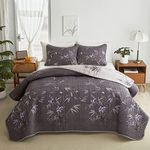 Quilt Set 3 Pieces King Size, Black Leaves Botanical Design Reversible Bedspread Coverlet Set, Soft Microfiber Lightweight Bed Cover for All Season (102" x 90", 1 Quilt+ 2 Pillow Shams)