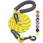 BAAPET 2/4/5/6 FT Dog Leash with Comfortable Padded Handle and Highly Reflective Threads for Small Medium and Large Dogs (5FT-1/2'', Yellow)