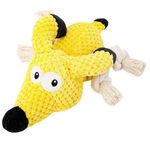 Plush Dog Toys