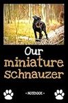 Our miniature schnauzer: dog owner 