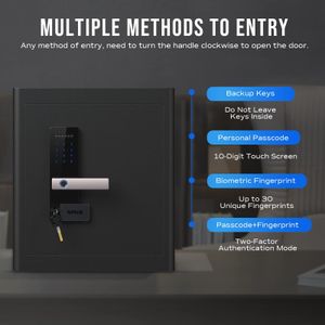 RPNB 45L Biometric Home Safe – Large Security Safe for Valuables
