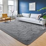 Przemy Grey Area Rug for Bedroom Living Room, 4x6 Feet Fluffy Shag Rug, Ultra Soft Fuzzy Carpet Throw Rugs for Kids Room Dorm Nursery Indoor Home Decor