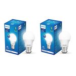 2 Watt Led Bulb