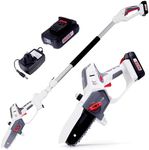 NETTA Cordless 2-in-1 Pole & Handhe