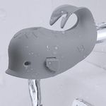 Water Spout Cover