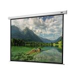 celexon Projector Screen Electric Economy 300 x 225 cm