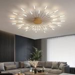 blissbells 20 Light Gold Body AcryIic LED Chandelier Ring for Living Room Lamp - Warm White