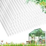 XISOCO Polycarbonate Greenhouse Pan