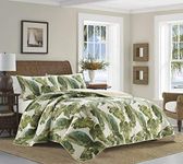 Tommy Bahama Reversible Cotton Bedding with Matching Shams, Soft All Season Bedspread, Coastal Home Decor, 100%, Green/White, Queen