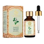 RYLLZ ESSENTIALS Patchouli Essential Oil With Glass Dropper | | Therapeutic grade for Skin Care, Hair Care, Aromatherapy, Relief from Stress & Anxiety | 100% Pure & Natural | Steam Distilled (30ml)