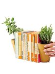 Gifts & Decor Bookends