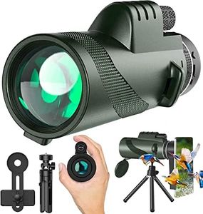 Monocular-