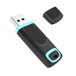 RAOYI 256GB USB Stick USB 3.0 Flash Drive Up to 100MB/s Read Thumb Drive 256G USB Memory Stick Cap Design Pen Drive (256G, Cyan)