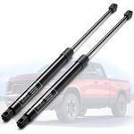 Vepagoo 2 Front Hood Gas Lift Supports Struts 4364 Compatible for 2002-2010 Dodge Ram 1500/2500/3500/4500/5500 Spring Shocks