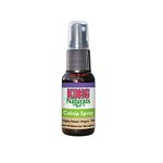 Kong Naturals Catnip Spray for Cats, 1-Fluid Ounces