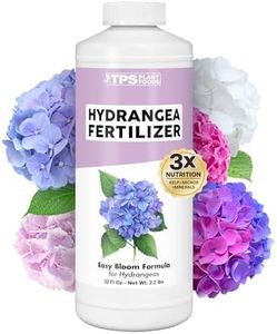 Hydrangea
