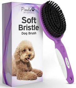 Soft Bristle Dog Brush For Short Haired Cats Or Dogs - Firm Bristles To Remove Dust, Dirt, And Loose Fur - Hook And Rubber Handle