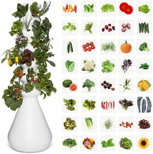 Lettuce Grow Farmstand Outdoor Starter Kit | 36 Seedlings | 6ft