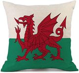 BIBITIME Welsh Sports Fans Bedroom Decorative Pillow Case Cushion Cover Protector Souvenir World Cup Country Flag Theme Pillowcase Square 17.72"x17.72"