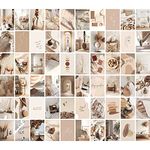 Wall Collage Kit Aesthetic Pictures, 60PCS Boho Beige Room Decor for Teen Girls, VSCO Posters for Bedroom, Dorm Photo Wall Art, Vintage Collage Prints Kits(Beige,4x6inch)