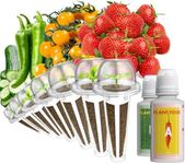 LYKOCLEAN Fruit Seed Kit for AeroGarden, iDOO Hydroponics Growing System Indoor Gardening, 7-Pod, Red Strawberry, Golden Cherry Tomato, Green Pepper, Cucumber, Dwarf Pea, Ruby QueenBeet, 350+ Seeds