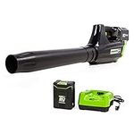 Greenworks Pro GBL80320 80V 125 MPH - 500CFM Cordless Blower, Battery and Charger Not Included - Tool Only